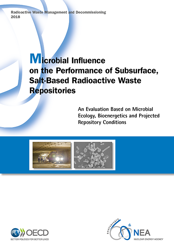 Microbial Influence on the Performance of Subsurface, Salt-Based Radioactive Waste Repositories