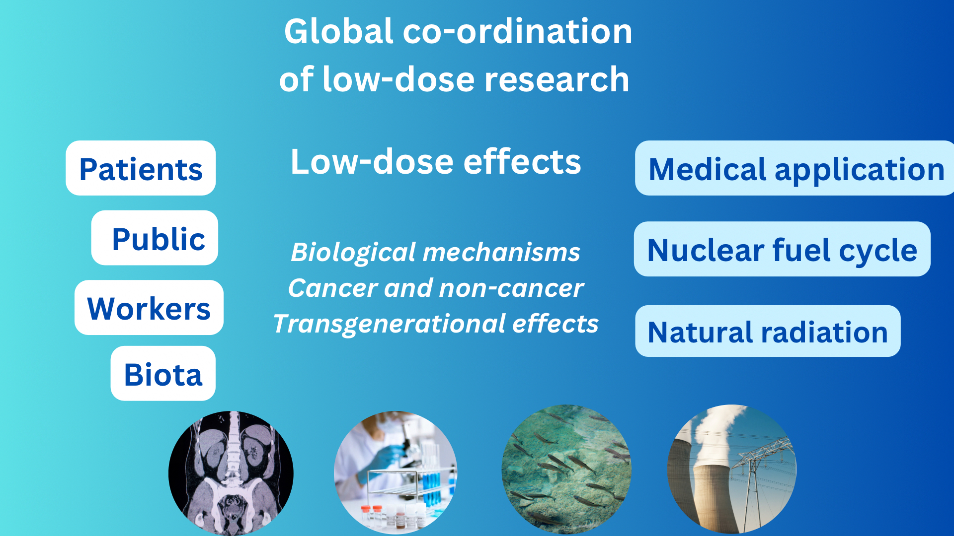 Global co-ordination of low-dose research