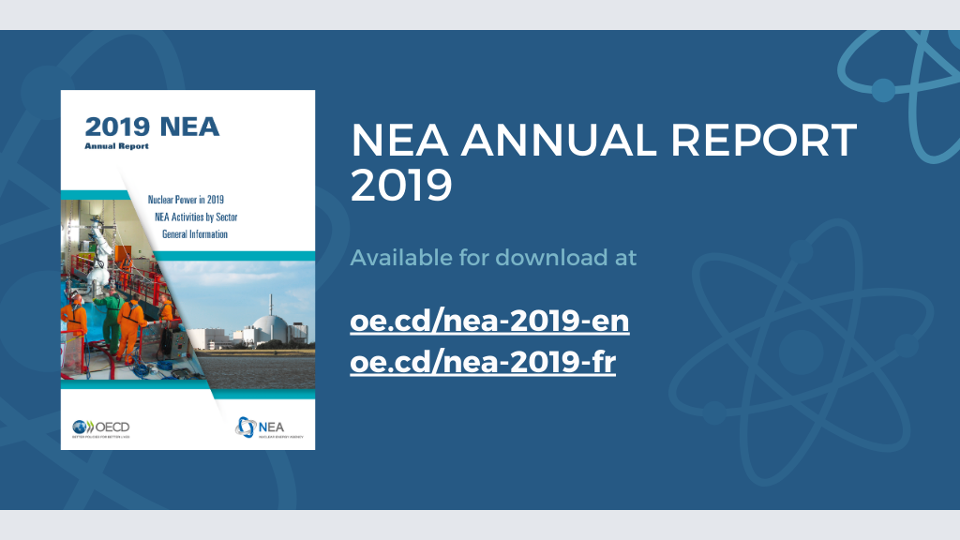 NEA Annual Report 2019