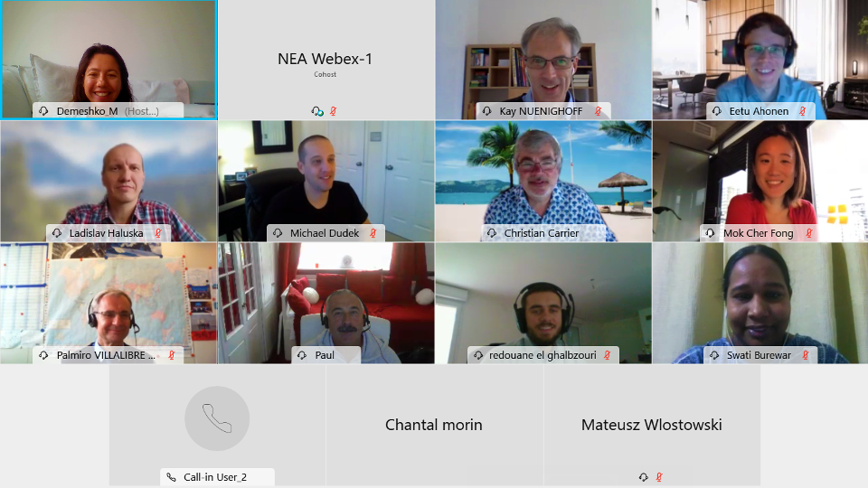 NEA Working Group on Regulation of New Reactors (WGRNR) meeting, 21-22 October 2020