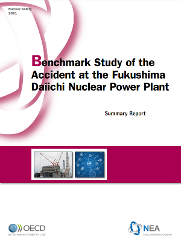 Benchmark Study Fukushima