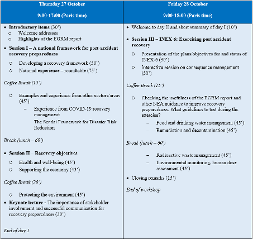 Workshop programme