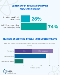 Specificity and number of activities under NEA SMR Strategy